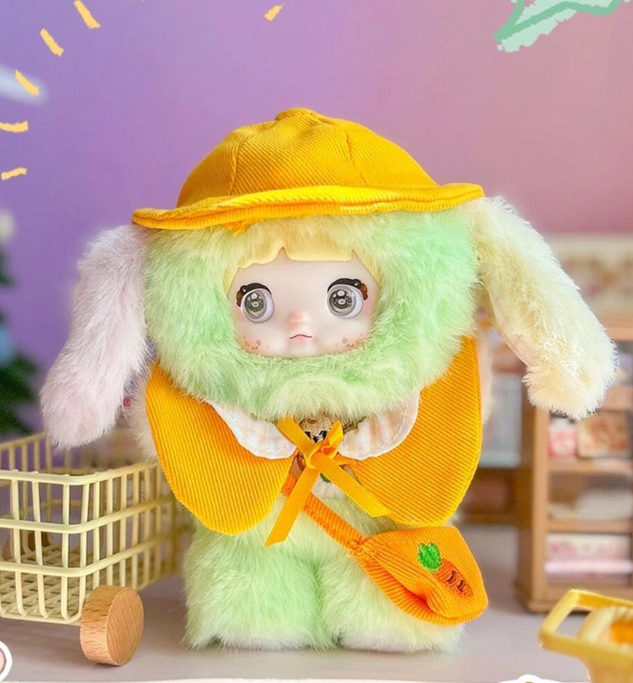 Nommi V5 puppy dairy